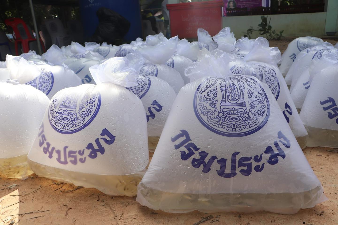 title - ส.ป.ก.ยโสธร ร่วมพิธีปล่อยพันธุ์สัตว์น้ำเพื่อเฉลิมพระเกียรติ เนื่องในโอกาสมหามงคลเฉลิมพระชนมพรรษา สมเด็จพระนางเจ้าสุทิดา พัชรสุธาพิมลลักษณ พระบรมราชินี 
